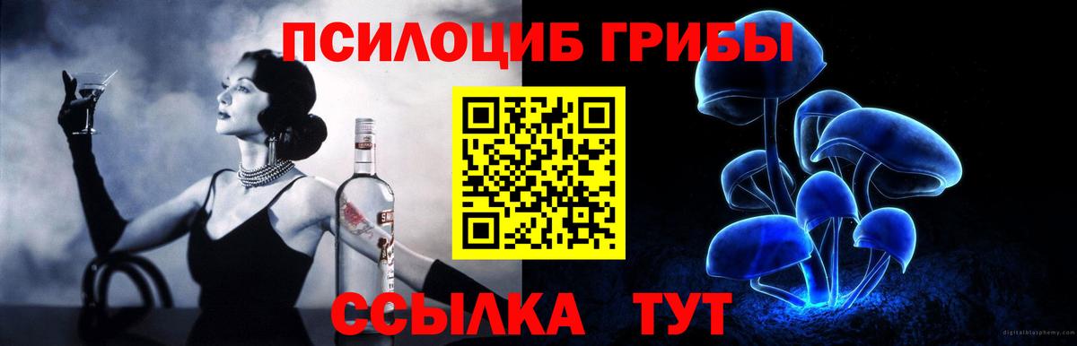 Сланцы  где купить наркотик  Вход с VPN  Галлюциногенные грибы мухоморы 